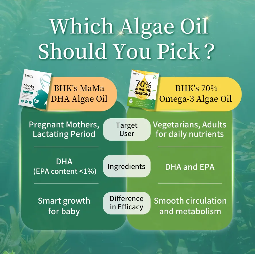 Authorized and certified by major French manufacturers, complete with anti-counterfeit labels.