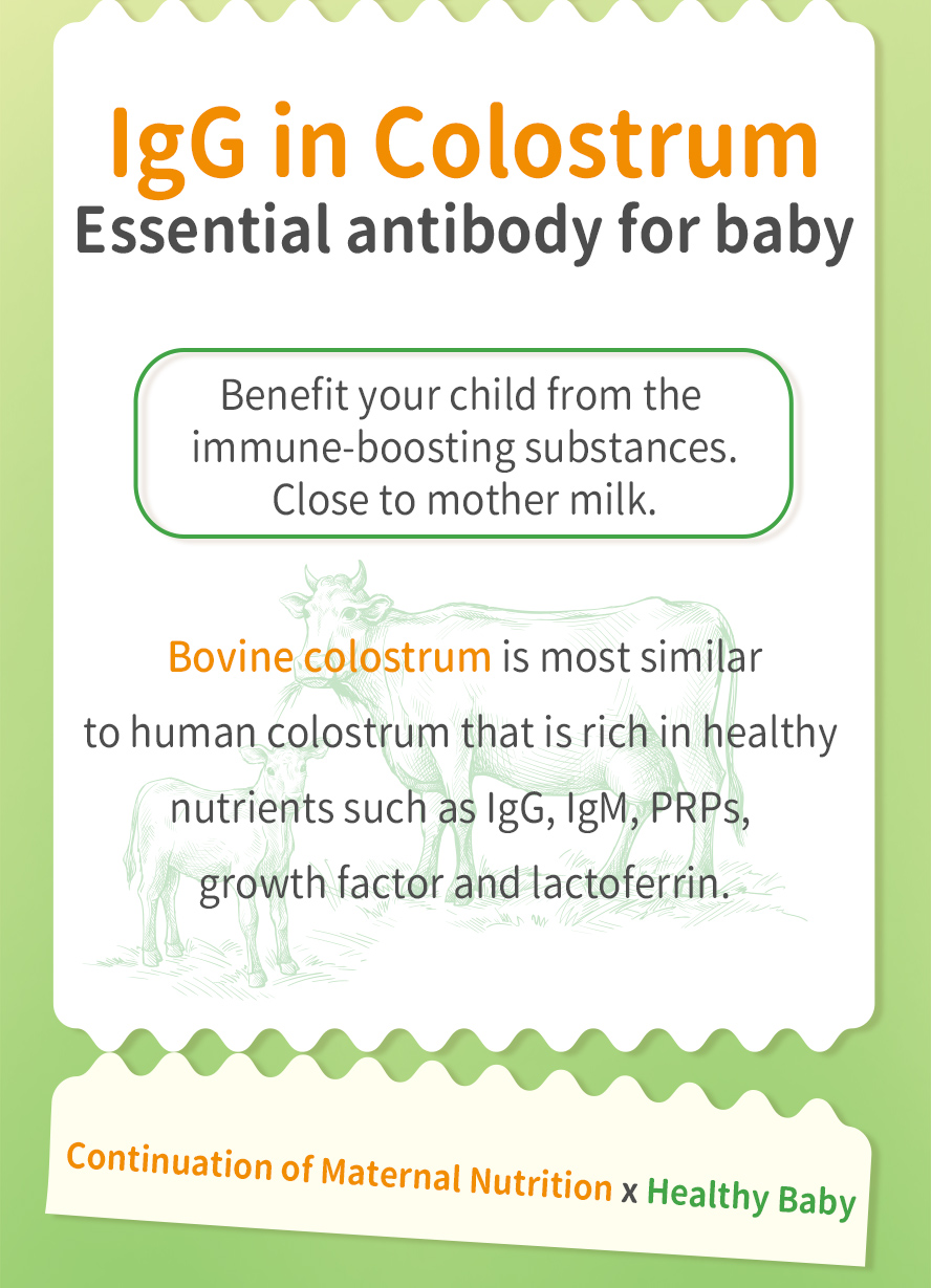 Bovine colostrum contains IgG and IgY that may strengthen your immune system and help your body fight disease-causing agents.