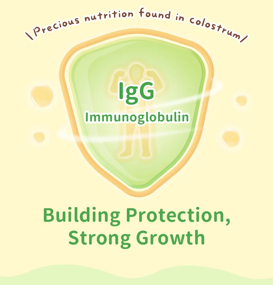 BHK's Kids Probiotic Powder EX provides dual protection for children, with added immunoglobulin IgG and patented Lactobacillus pentosus IgA to increase immunity and reduce allergens and the frequency of colds.