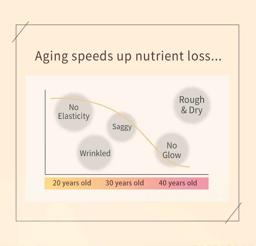BHK's Q10 Placenta stop aging process and maintain a youthful appearance