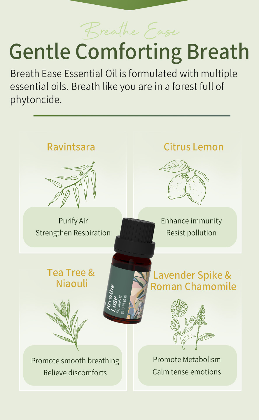 BHK's Breathe Ease Essential Oil is formulated with various of 100% pure natural essential oils