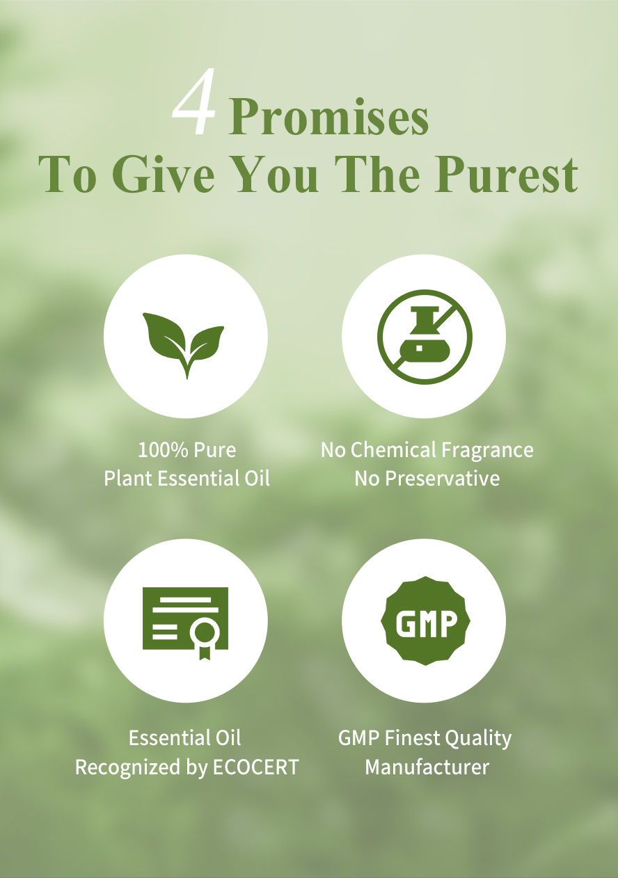 BHK's Breathe Ease Essential Oil has no added with chemical fragrance & preservative, uses the essential oils recognized by ECOCERT & manufactured by GMP Finest Quality