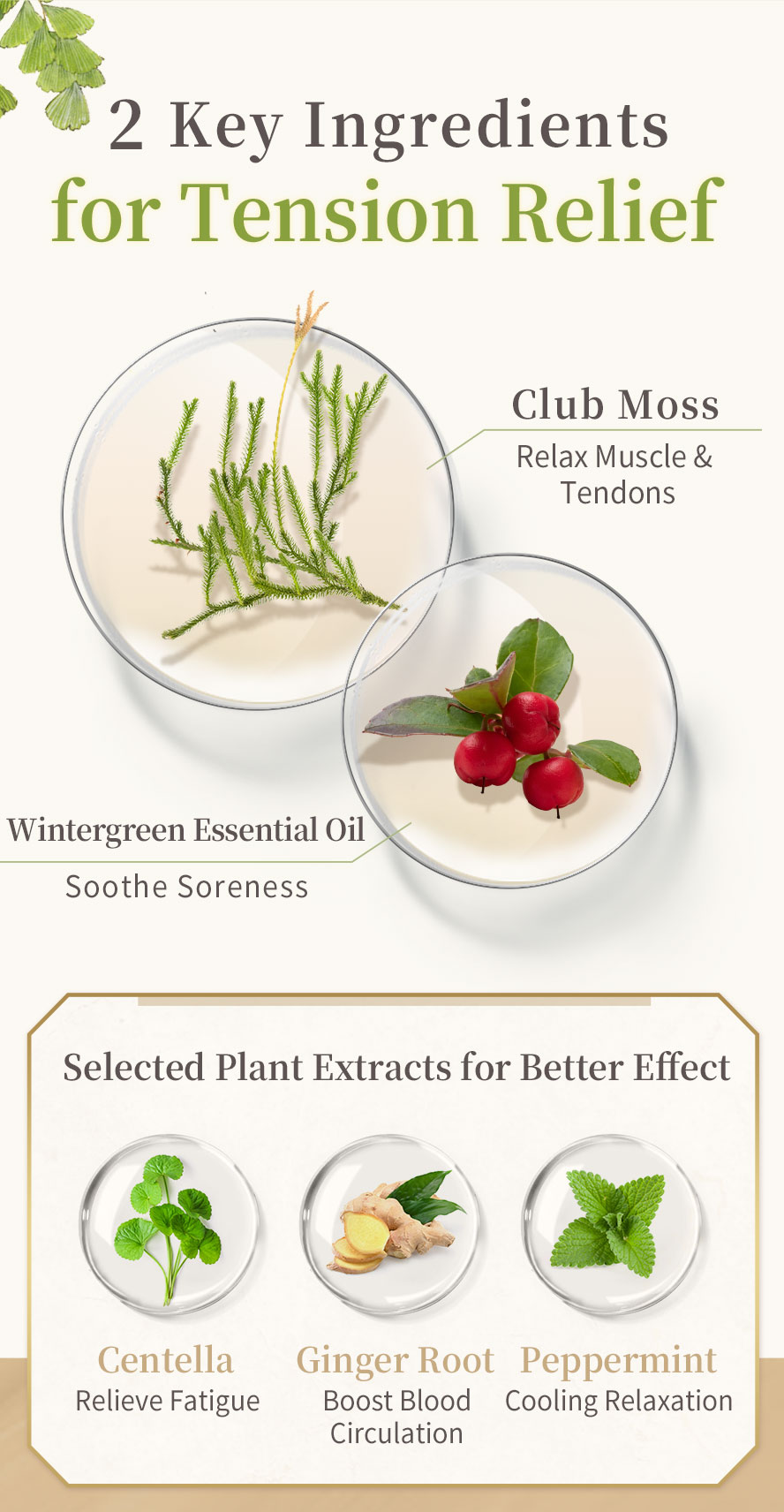 BHK's Club Moss Relaxing Cream combine with plant extract for tension relief, boost blood circulation, and fight fatigue