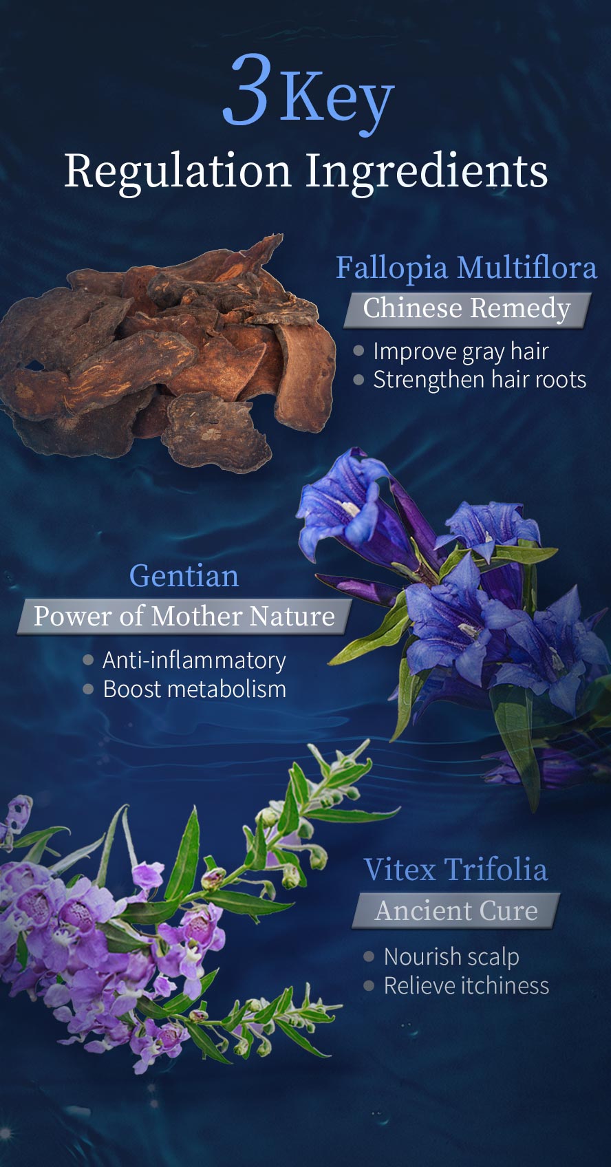 BHK喚黑養髮液，複方調理植萃，恢復光澤、強健髮根，減少白髮、促進循環、滋潤頭皮。