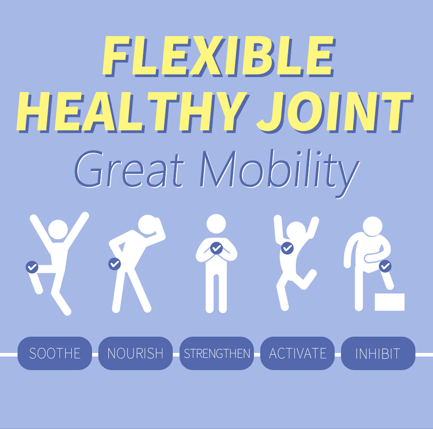 BHK's Patented Glucosamine MSM rebuilds the cartilage in joints and maintains joint flexibility