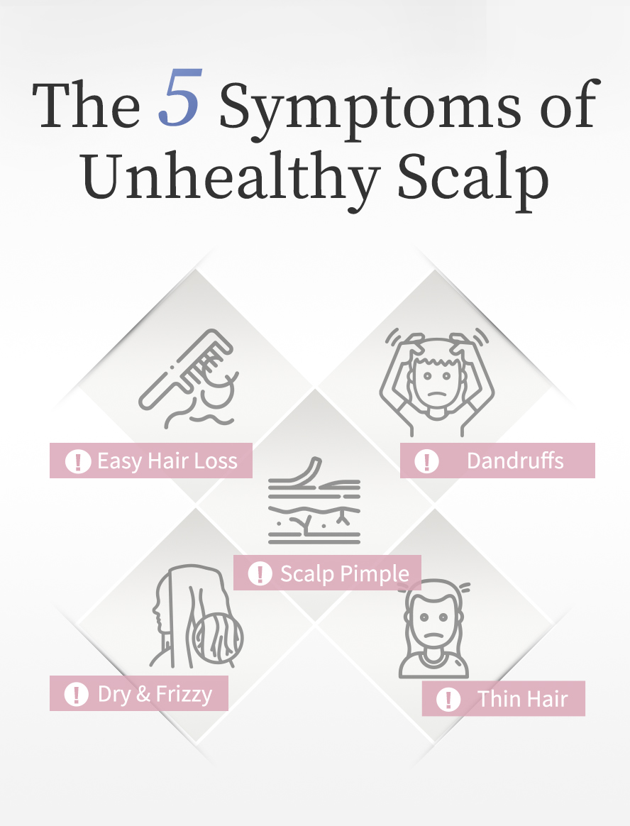 The treatment for easy hair hair loss and thin hair, solution to oily scalp and dandruffs problem