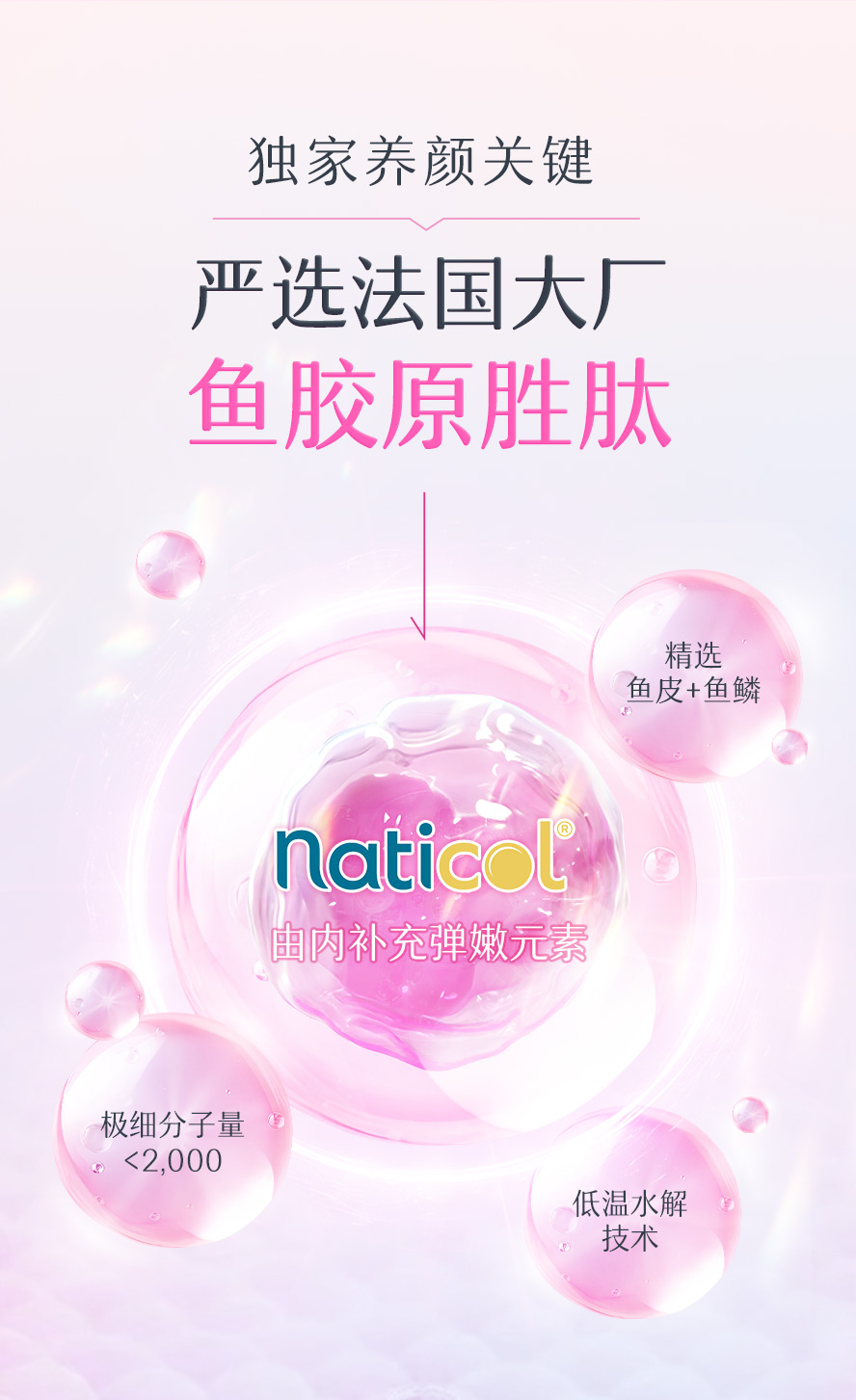 严选法国naticol胶原胜肽，补充弹力因子，帮助打造澎润肌肤