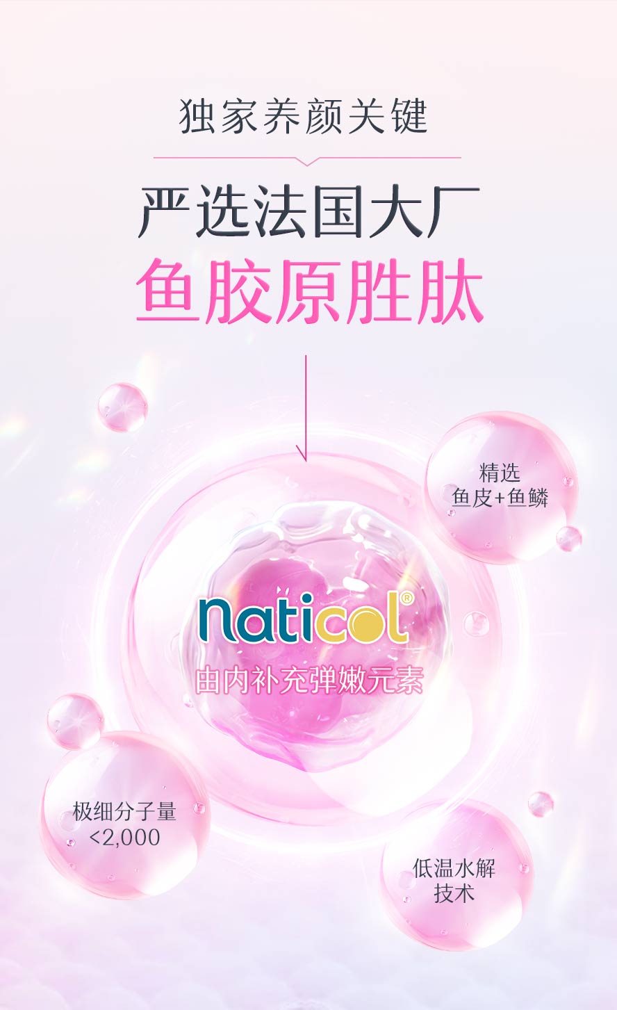 严选法国naticol胶原胜肽，补充弹力因子，帮助打造澎润肌肤