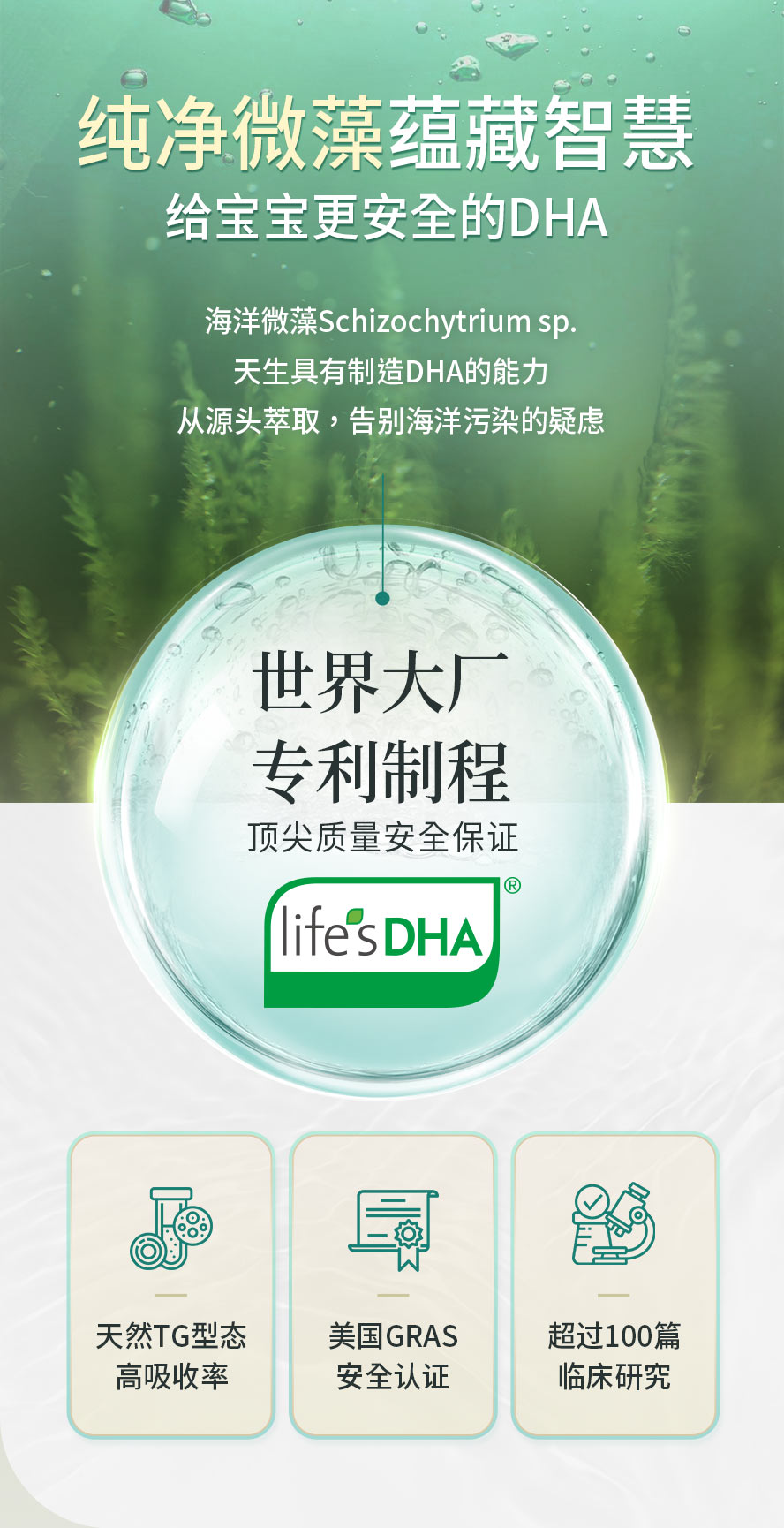 专属孕妇的聪明营养DHA。