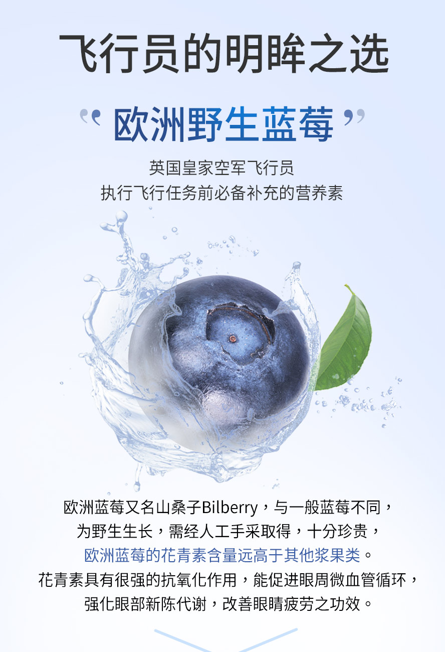 欧洲蓝莓又称山桑子Bilberry，欧洲蓝莓中花青素的含量高于一般蓝莓，山桑子果实中富含花青素，为一种抗氧化剂，能清除自由基，经医学证实有助于维持眼睛舒适度。