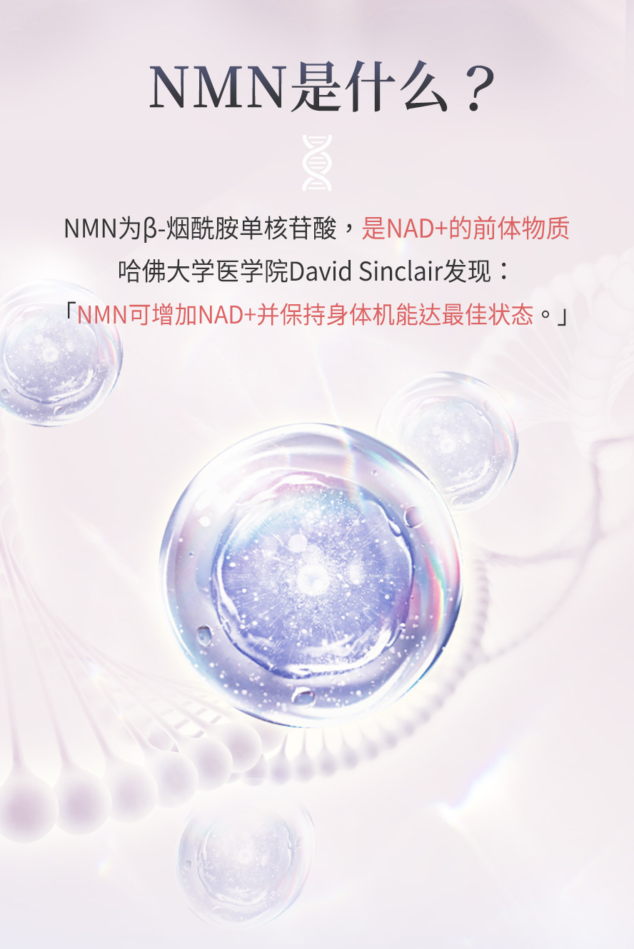 NMN是什么？有什么功效？