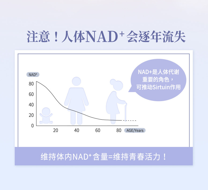 为什么要吃NMN？NAD+可以带来什么好处？