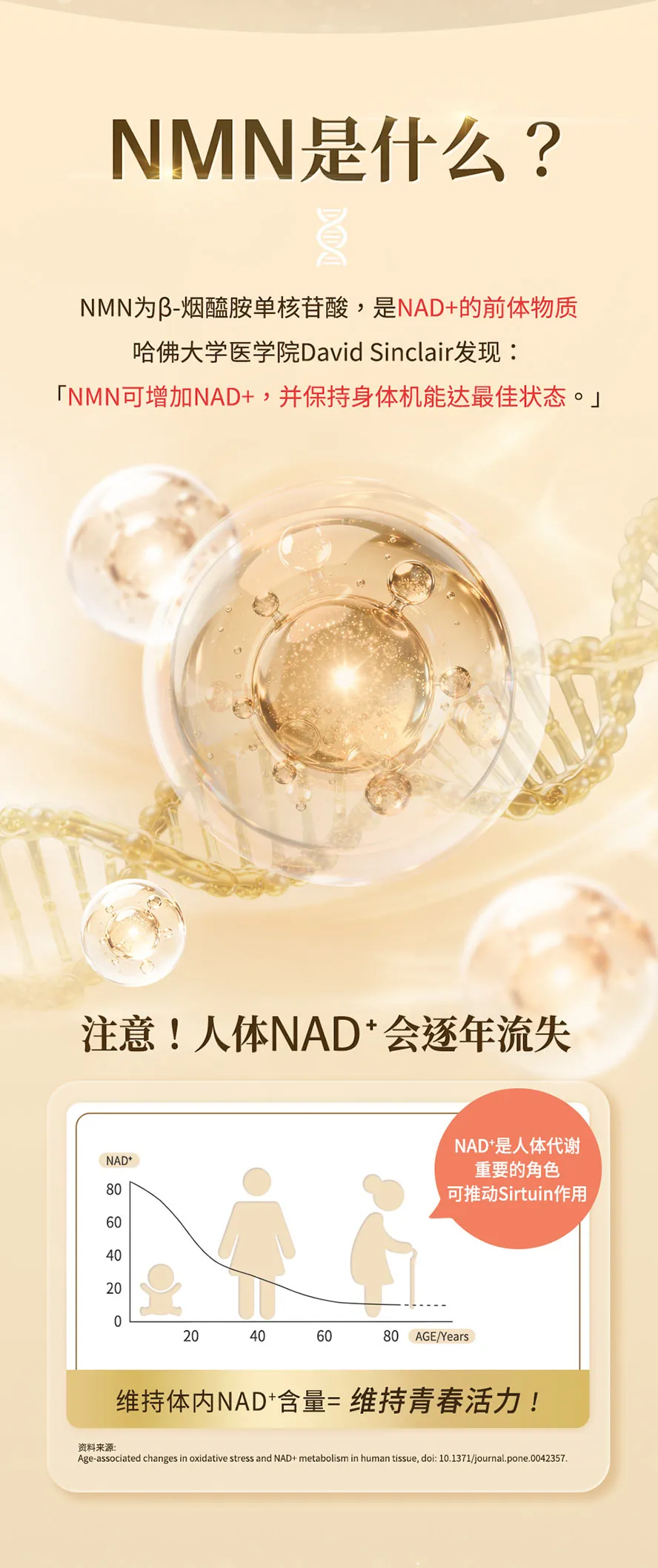 为什么要吃NMN？NAD+可以带来什么好处？