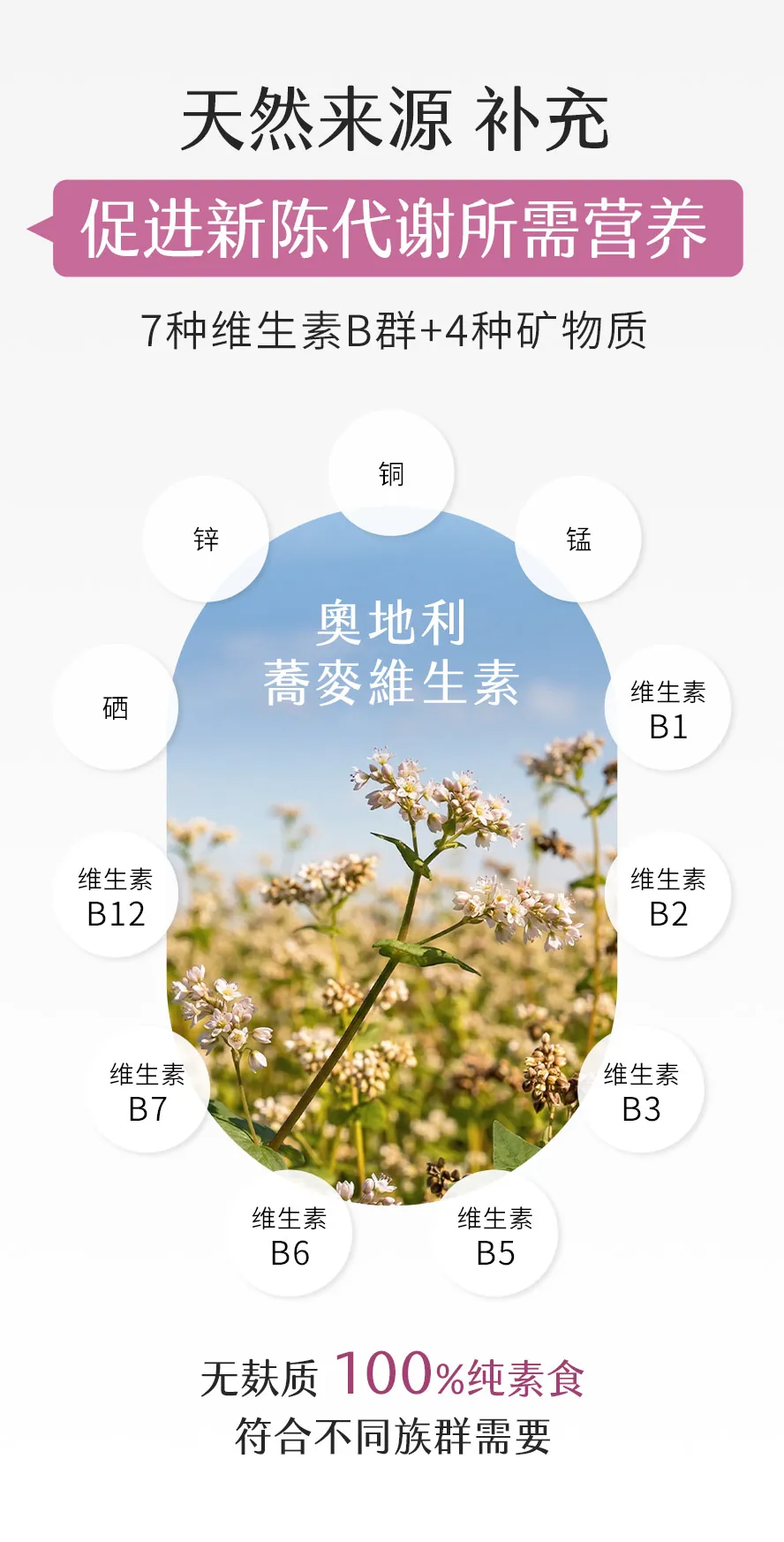 BHK's 专利铬+荞麦维生素选用天然复方,提供多种营养。