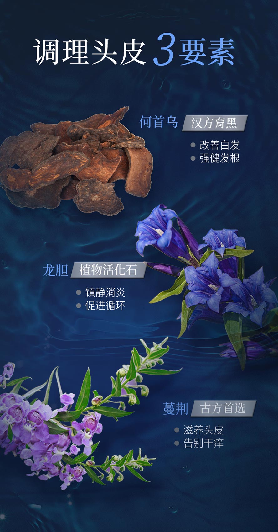 BHK唤黑养发液，复方调理植萃，恢复光泽、强健发根，减少白发、促进循环、滋润头皮。