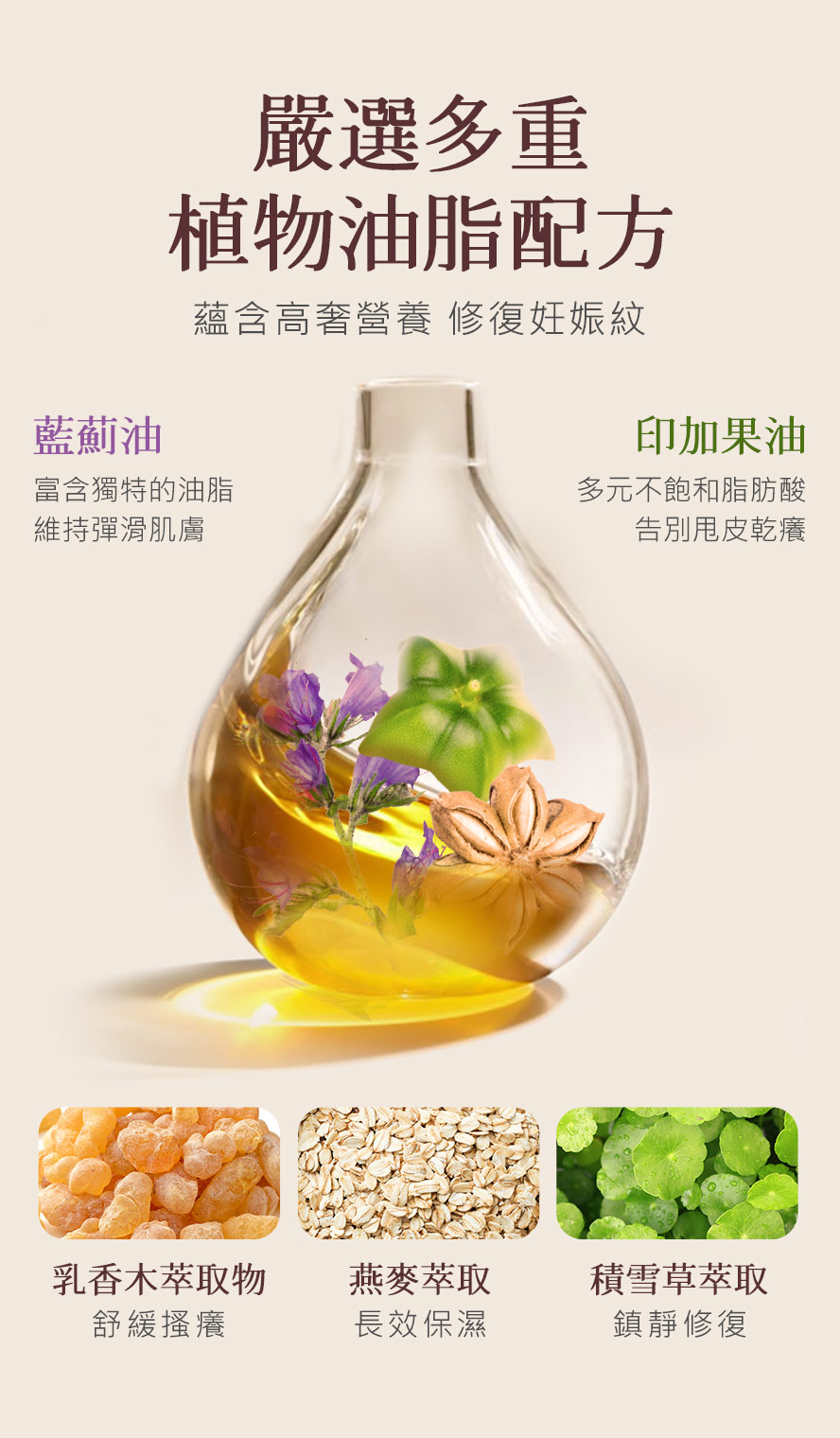 BHK撫紋霜添加藍蓟油、印加果油、乳香木、燕麥、乳木果，富含多元不飽和脂肪酸，強化肌膚屏障、預防紋路。