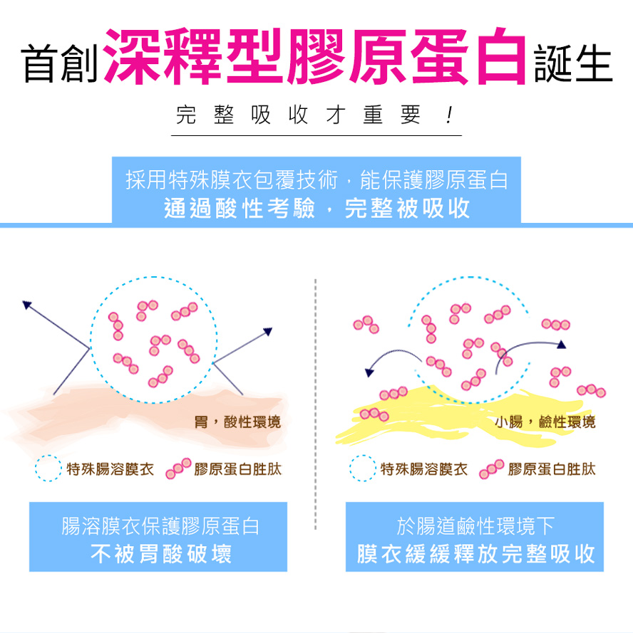 BHK’s的膠原蛋白利用特殊包覆技術,深釋導入型腸溶膜衣保護膠原蛋白,不會受到體內酸性考驗,幫助完整吸收