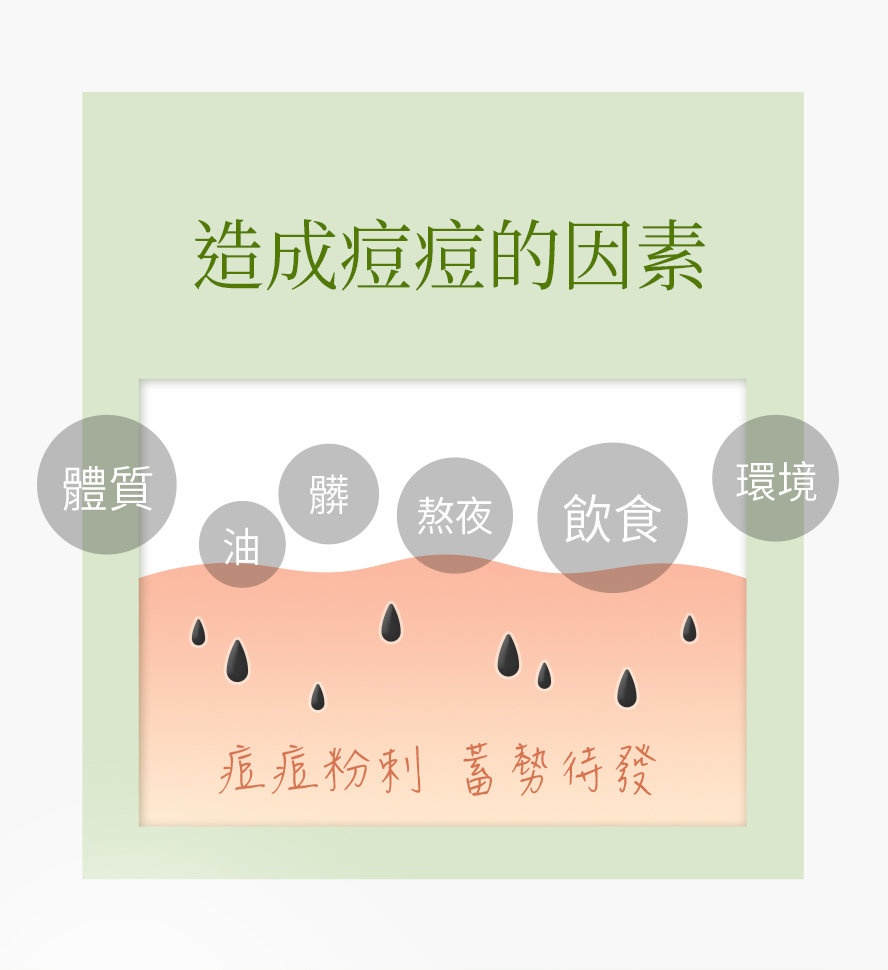 任何膚質皆適用，眾多網紅、藝人、保養專家、模特兒、部落客好評推薦BHK淨荳膠囊。