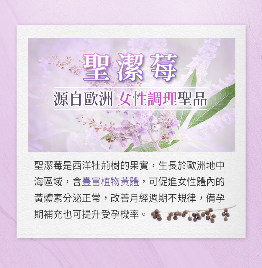 BHK's聖潔莓是一種天然植物,西洋牡荊樹的果實,可調節女性生理