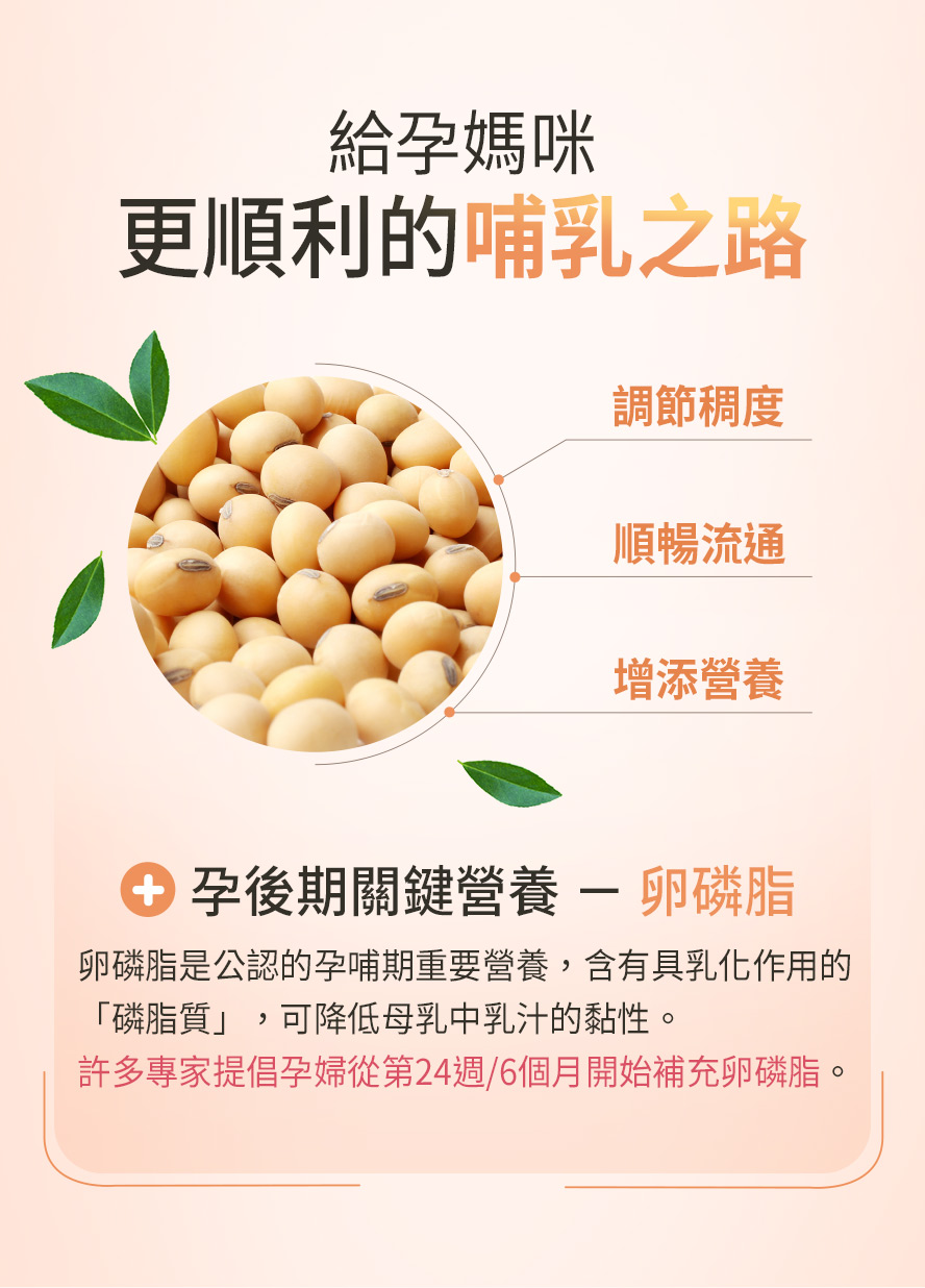 卵磷脂是孕婦孕後期到哺乳期重要營養。