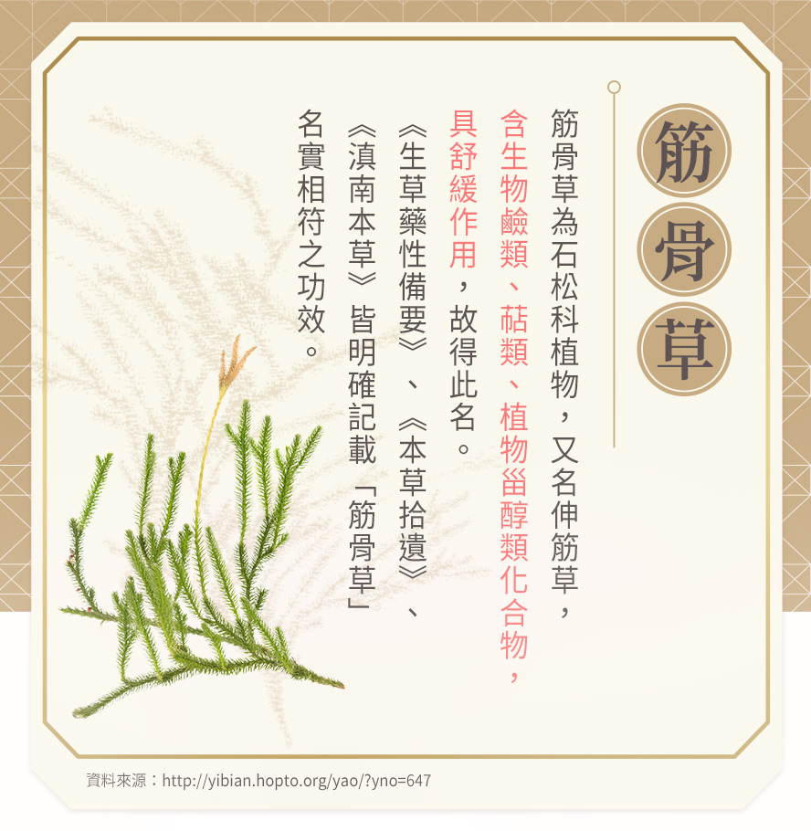 筋骨草又名伸筋草，在漢方藥草古籍中皆記載具有消炎、舒筋活絡、改善酸痛的功效。