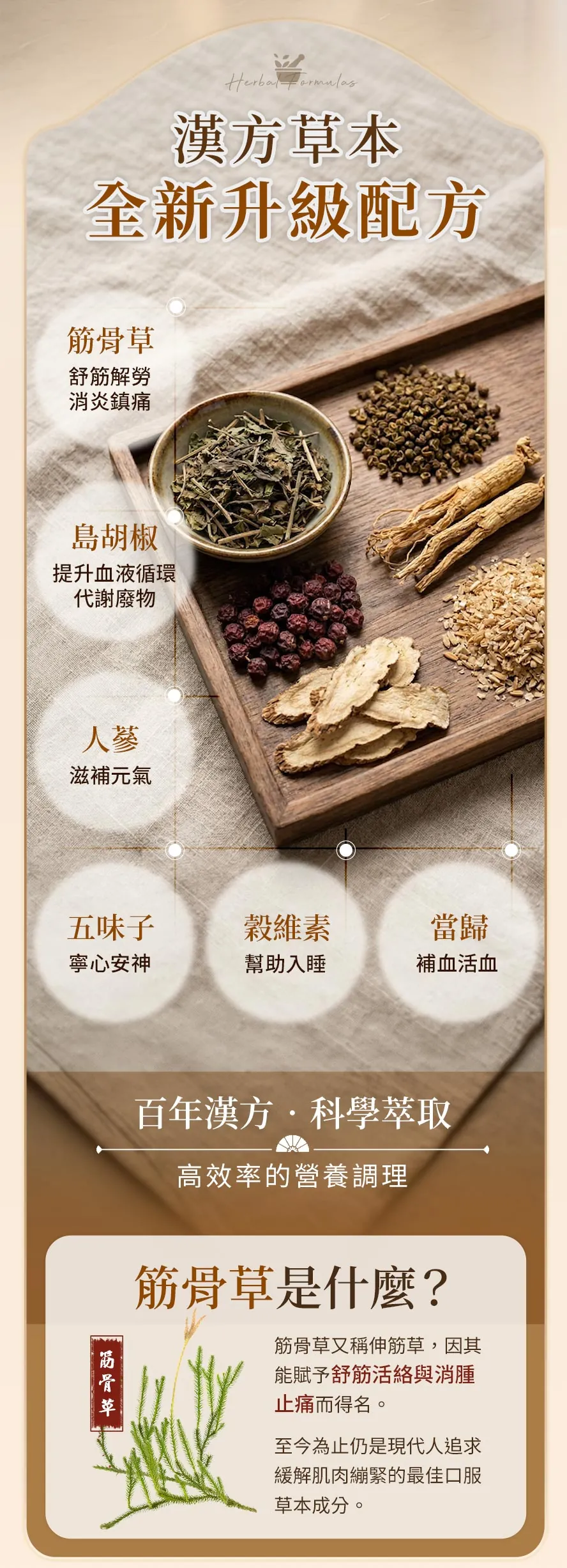 BHK's筋骨草含漢方人蔘、五味子、當歸、γ-穀維素跟維生素B群,升級成分日本島胡椒萃取