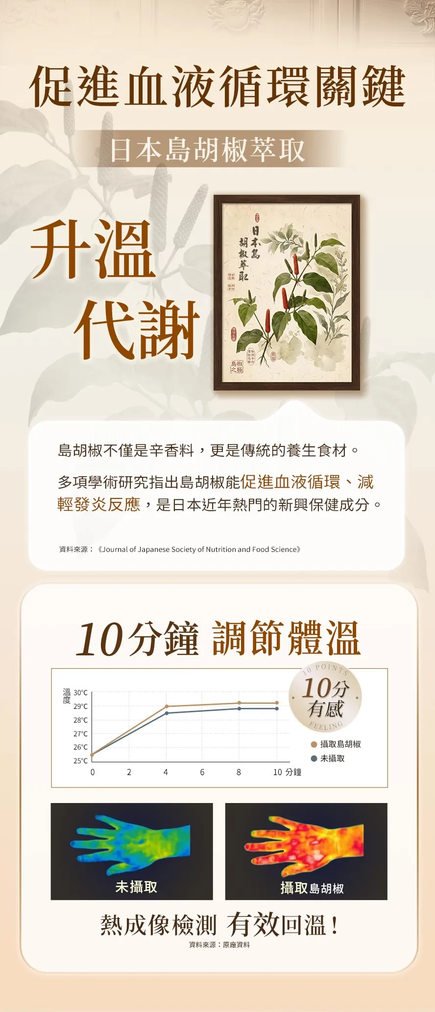 BHKs筋骨草添加日本島胡椒萃取,經研究證實10分鐘有效調節體溫、促進血液循環,屬溫補,所有人適用