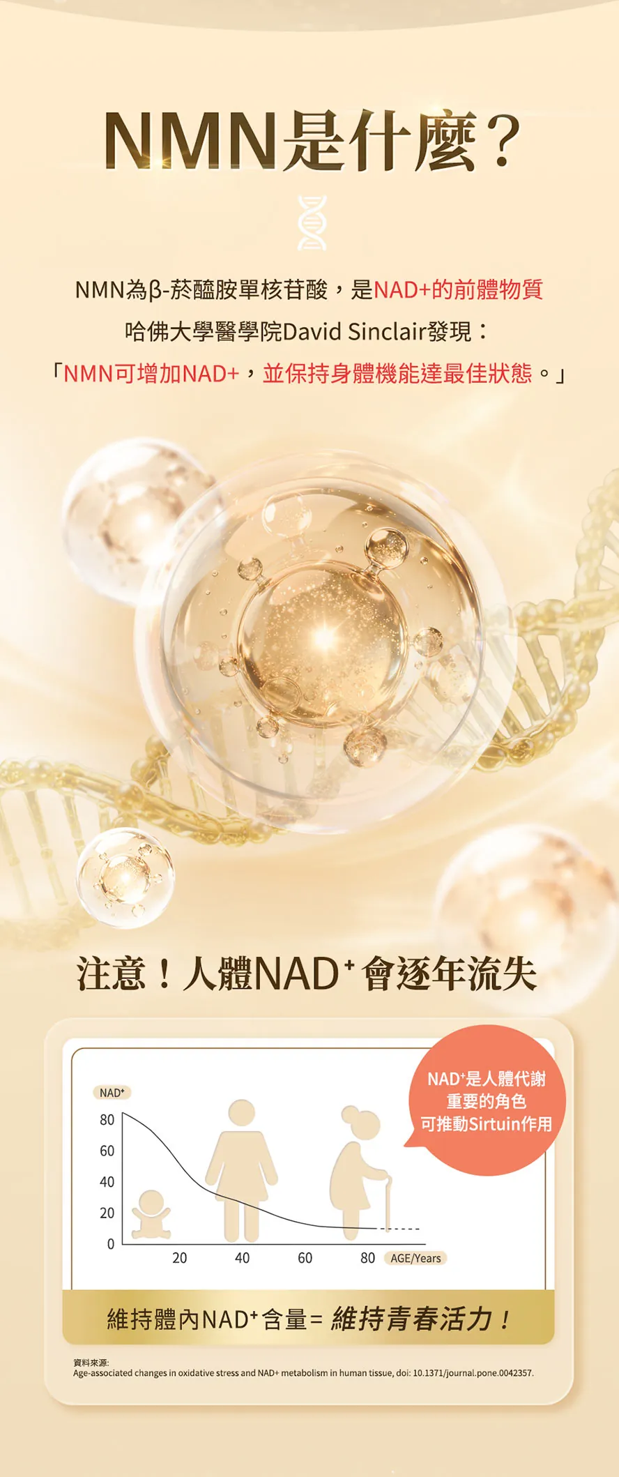 為什麼要吃NMN？NAD+可以帶來什麼好處？