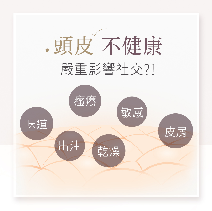 針對出油、搔癢、頭皮屑的解決辦法。