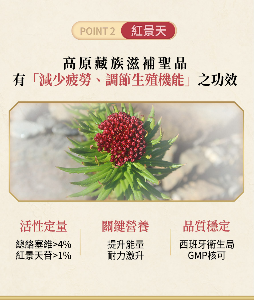BHK紅景天具活性定量更有感，減少疲勞、調節生殖機能。