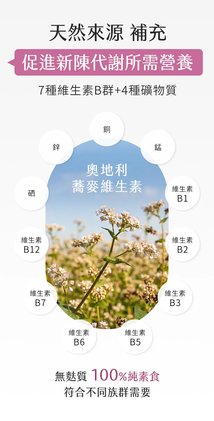 BHK's全能101益生菌搭配3種益生元、2種後生元，配方更全面。