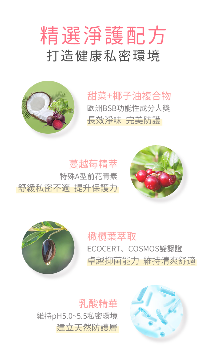 BHKs紅萃私密潔淨慕斯採用天然植萃配方，蔓越莓、橄欖葉、乳酸菌，提升私密肌抵抗力。