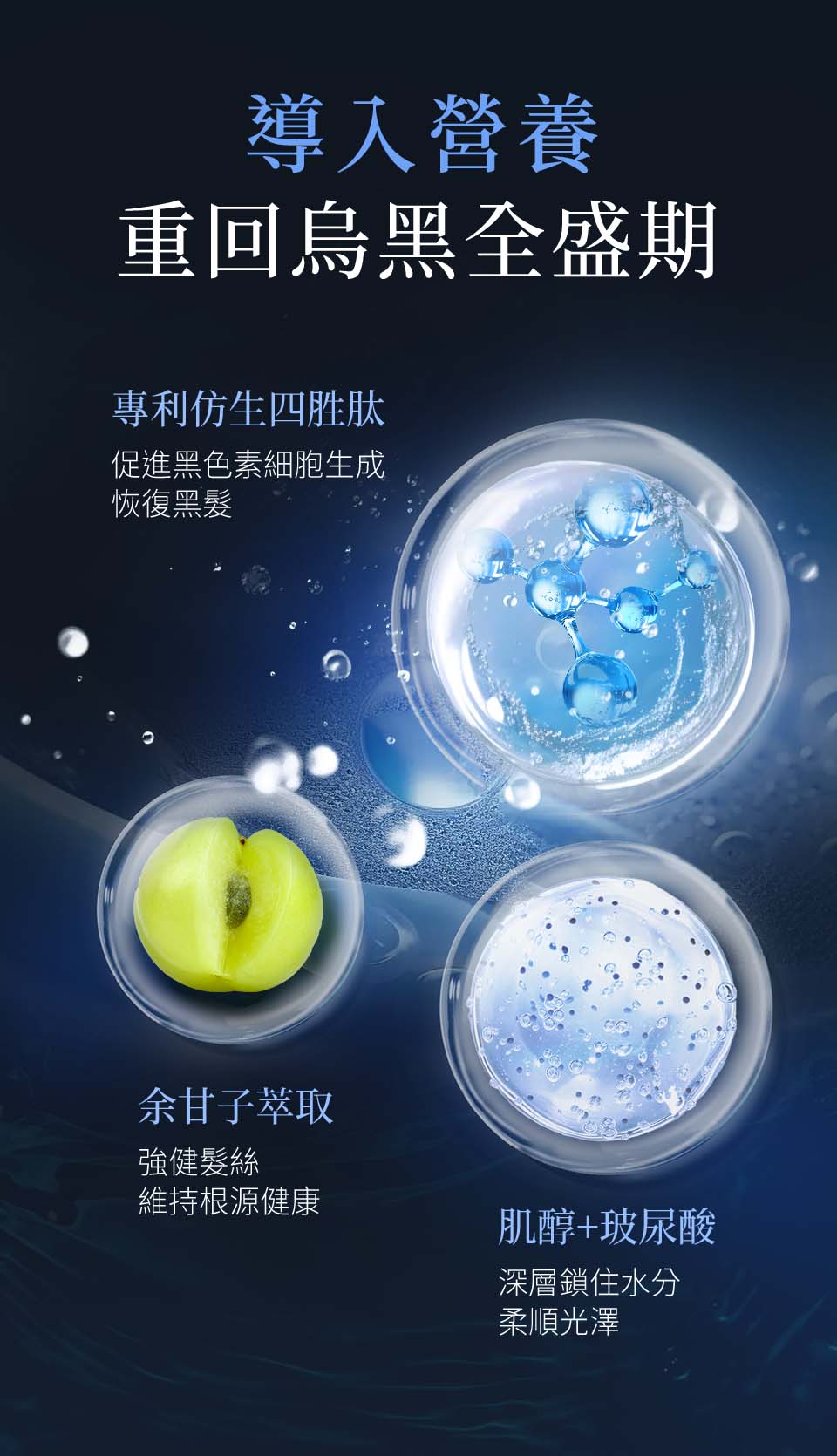 獨家專利喚黑胜肽，告別白髮，找回烏黑髮，促進黑色素生成，深層鎖住水分，從根源調理頭髮健康。