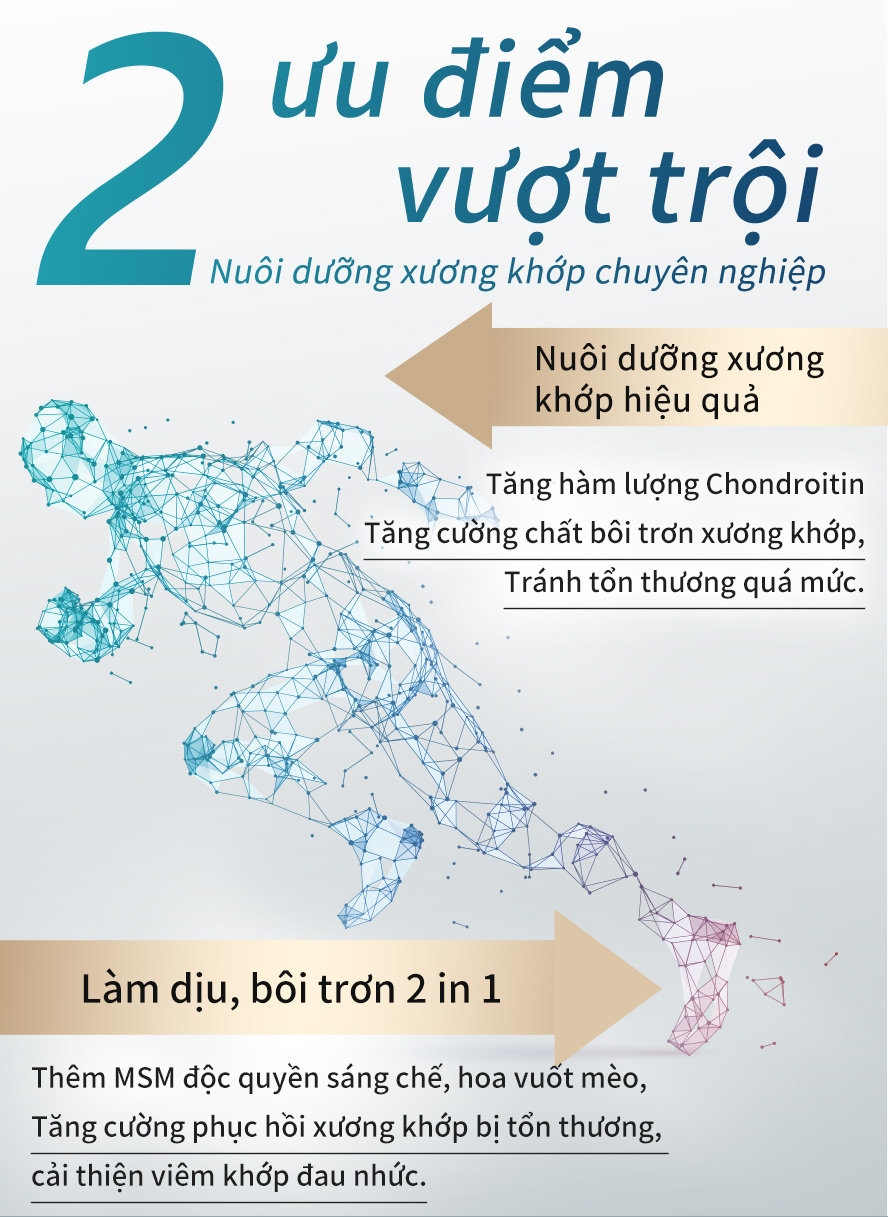 2 đặc điểm lớn tăng hàm lượng mô sụn bôi trơn xương khớp, thêm MSM phục hồi xương khớp bị tổn thương, không còn kêu răng rắc