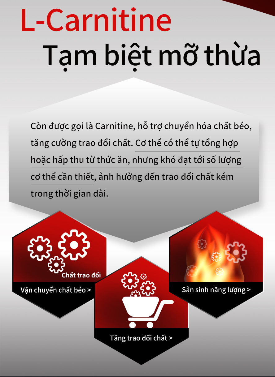 còn được gọi là nhà vận chuyển chất béo, chủ yếu trao đổi chất béo và đốt cháy mỡ thừa, chuyển thành năng lượng