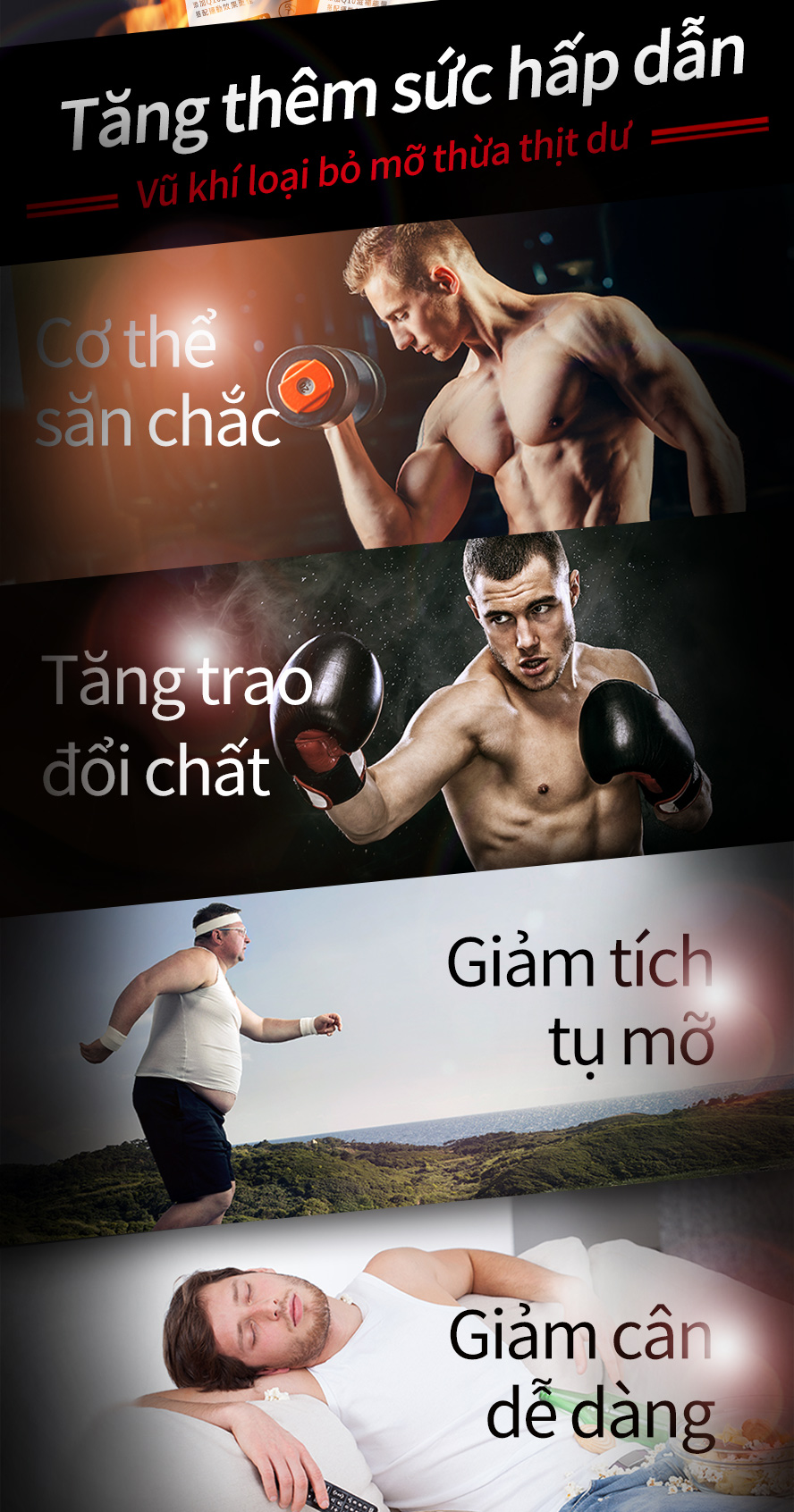 tăng tốc độ oxy hóa chất béo, hỗ trợ giảm cân khi kết hợp vận động, giảm thiểu tích tụ chất béo