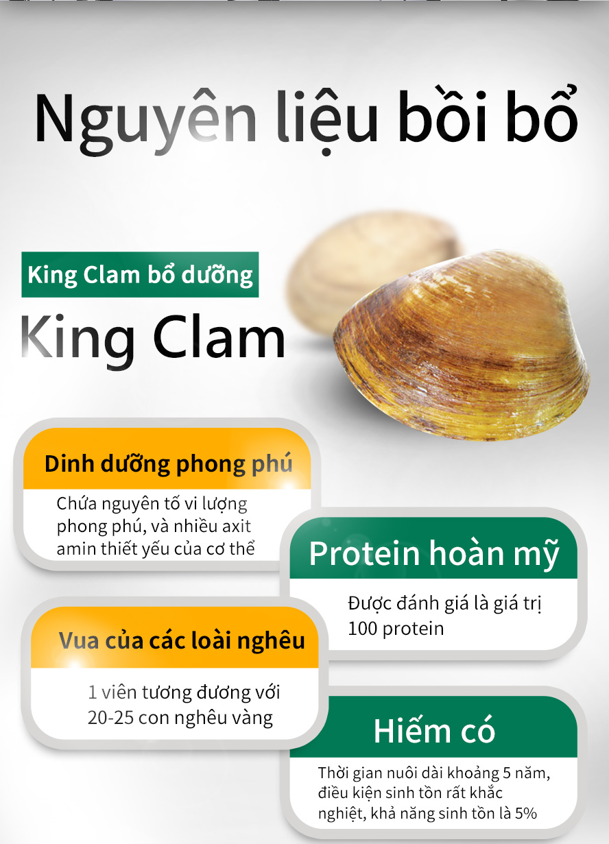 liên hợp quốc công nhận ngao hoàng đế là protein hoàn mỹ, giá trị dinh dưỡng cao nhất