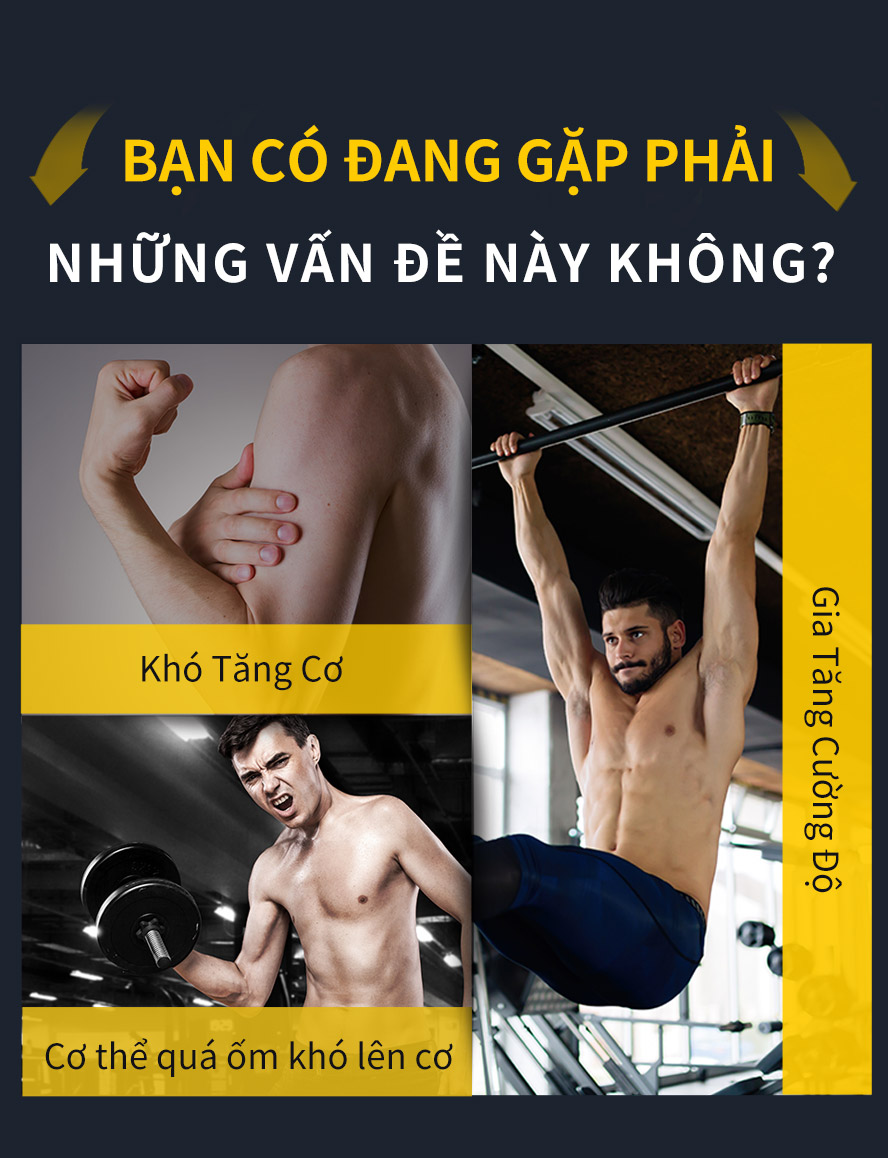 Xuất sứ Hoa Kỳ, tan nhanh, dễ uống