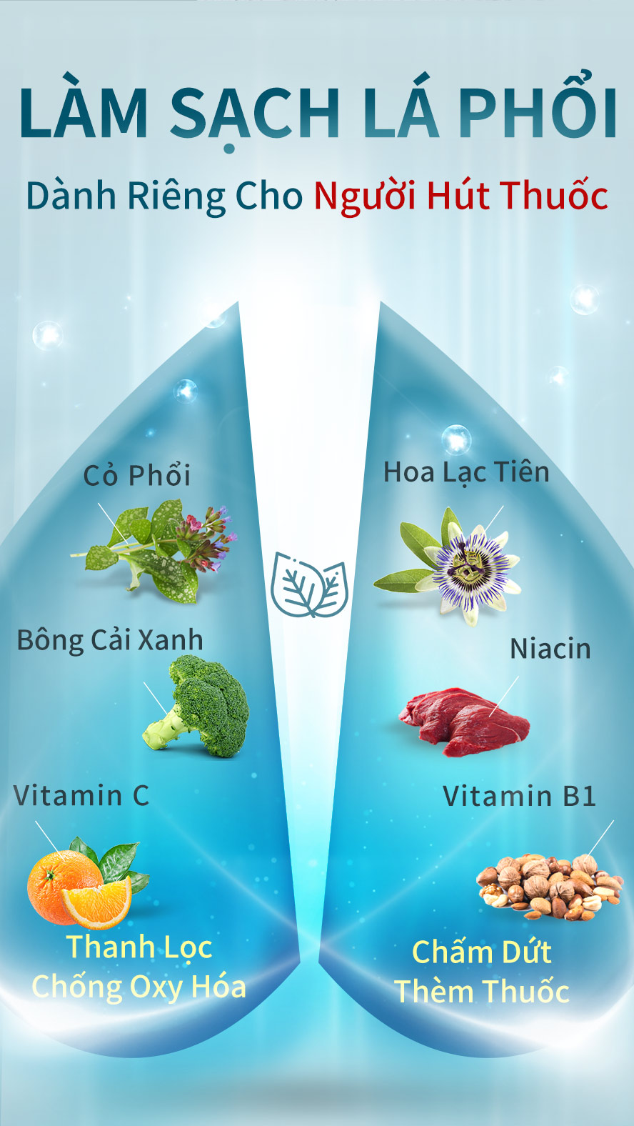 công thức thanh lọc phổi dành cho nhóm người hay hút thuốc lá, bông cải xanh thanh lọc phổi, lạc tiên Pháp ức chế tình trạng thèm thuốc