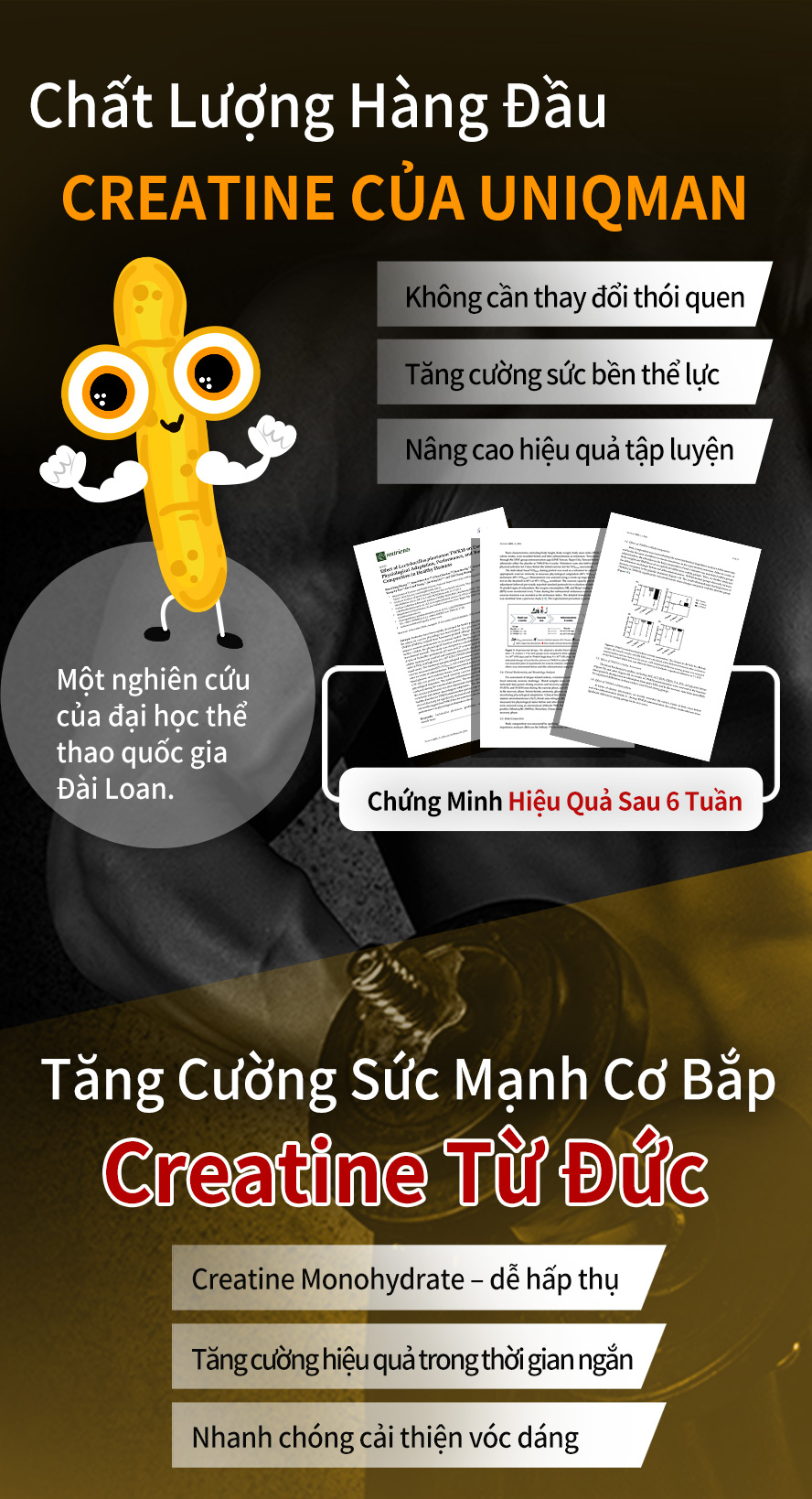 tăng cơ bắp, thể lực, giảm thiểu chất béo trong cơ thể