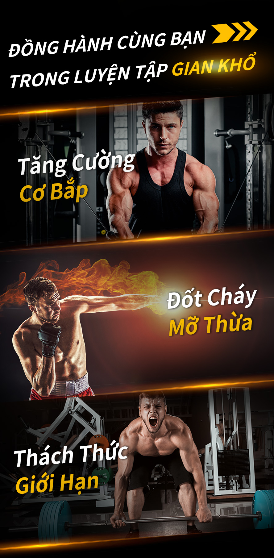 bổ sung liên tục trong 6 tuần, sẽ đạt được hiệu quả tăng cơ giảm mỡ, giảm mệt mỏi