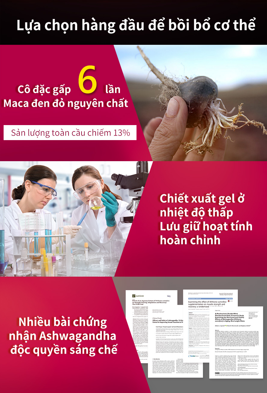 thêm Arginine và kẽm hữu cơ, giúp cơ thể đầy năng lượng, tăng thời gian trong cuộc yêu 
