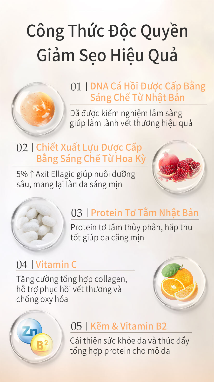 sử dụng protein tơ tằm Nhật Bản ,thúc đẩy làm lành vết thương nhanh chóng ,tăng độ đàn hồi cho da ,giảm thiểu hình thành sẹo