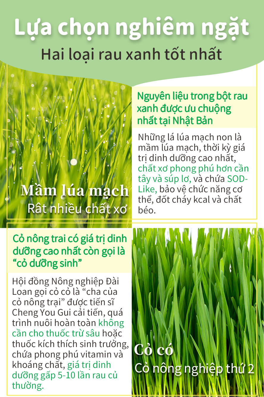 Sử dụng hai loại rau lớn nhất ,mầm lúa mạch Nhật Bản và Pennisetum alopecuroides nhiều dinh dưỡng
