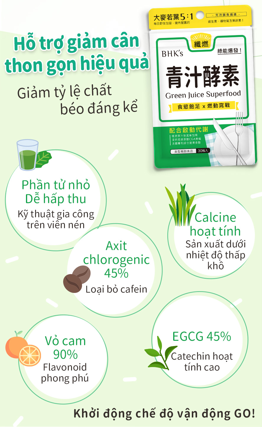 phần tử nhỏ dễ hấp thu ,hàm lượng catechin 45% ,hàm lượng Axit chlorogenic 45%