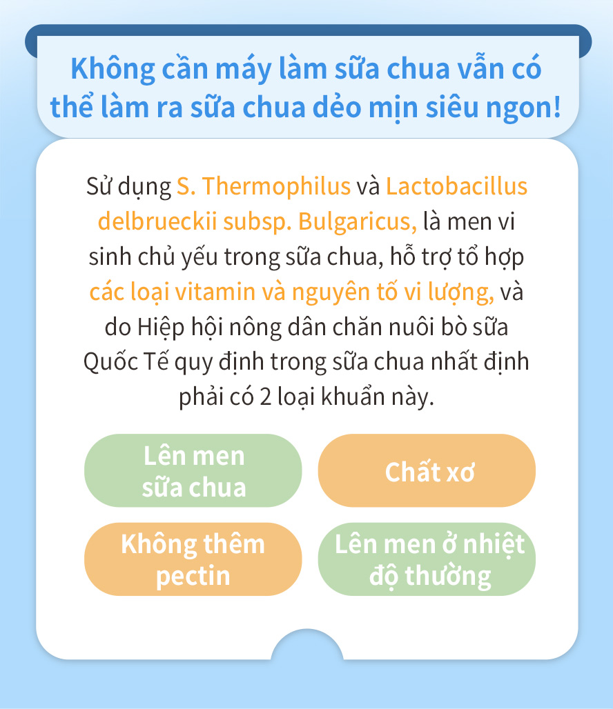 sử dụng khuẩn Streptococcus thermophilus, Lactobacillus Bulgaricus là những men tiêu hóa thiết yếu trong sữa chua