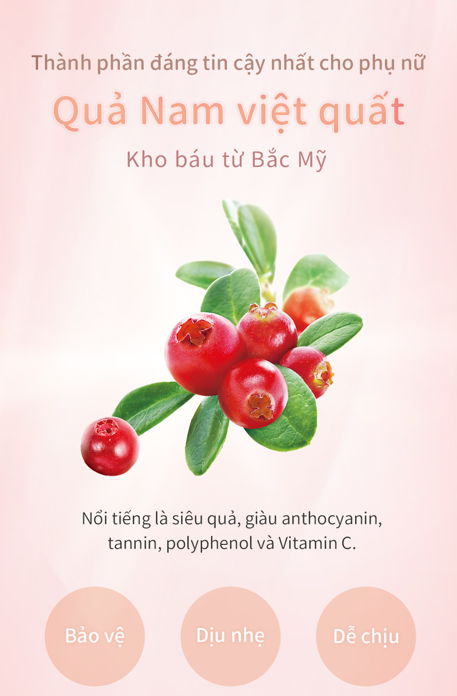bảo vệ vùng kín không bị viêm nhiễm